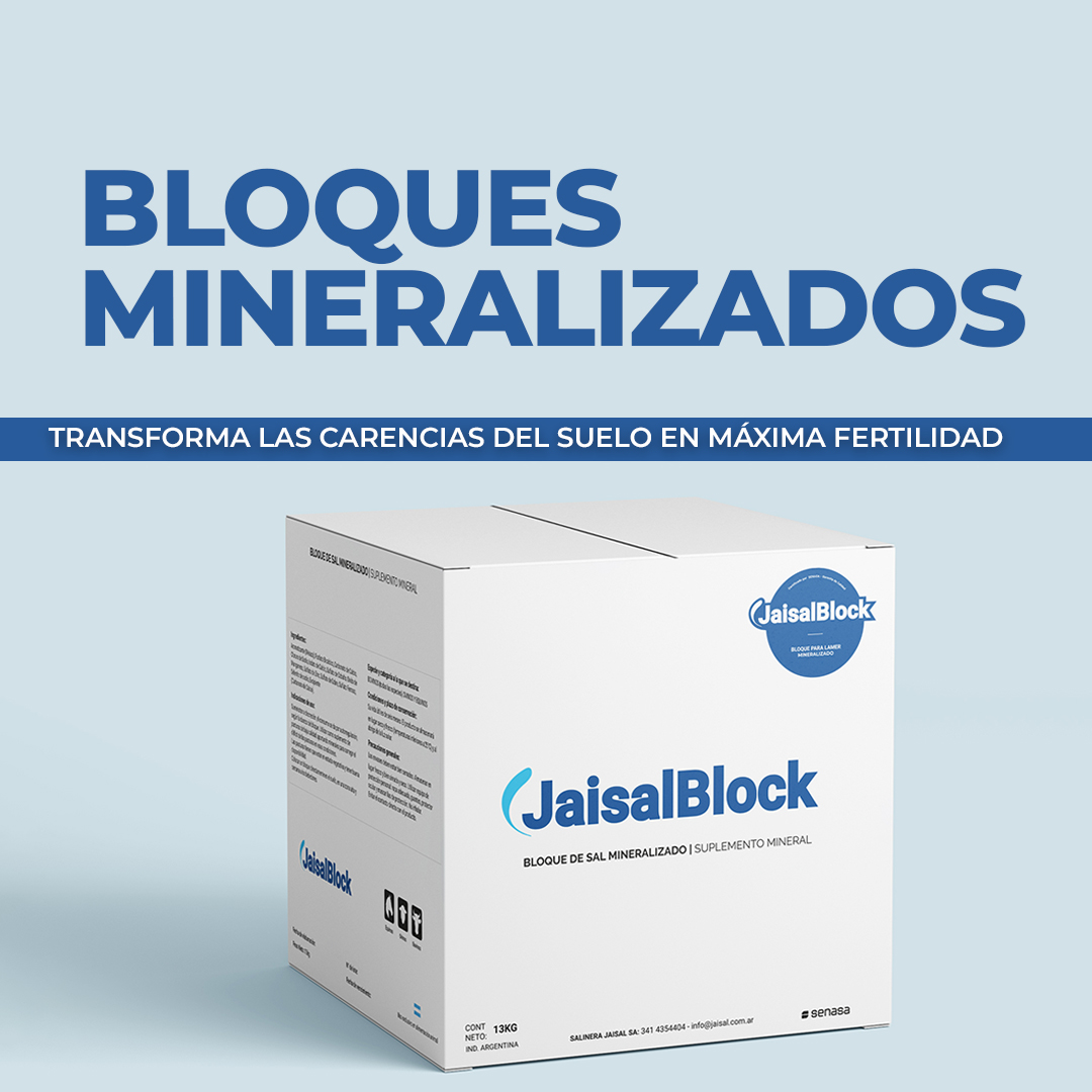 Bloque Mineralizado