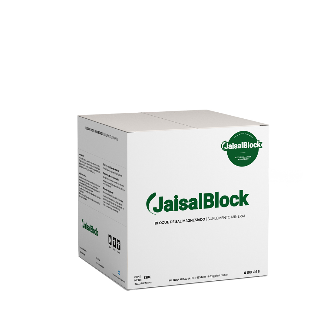 Bloque Magnesiado